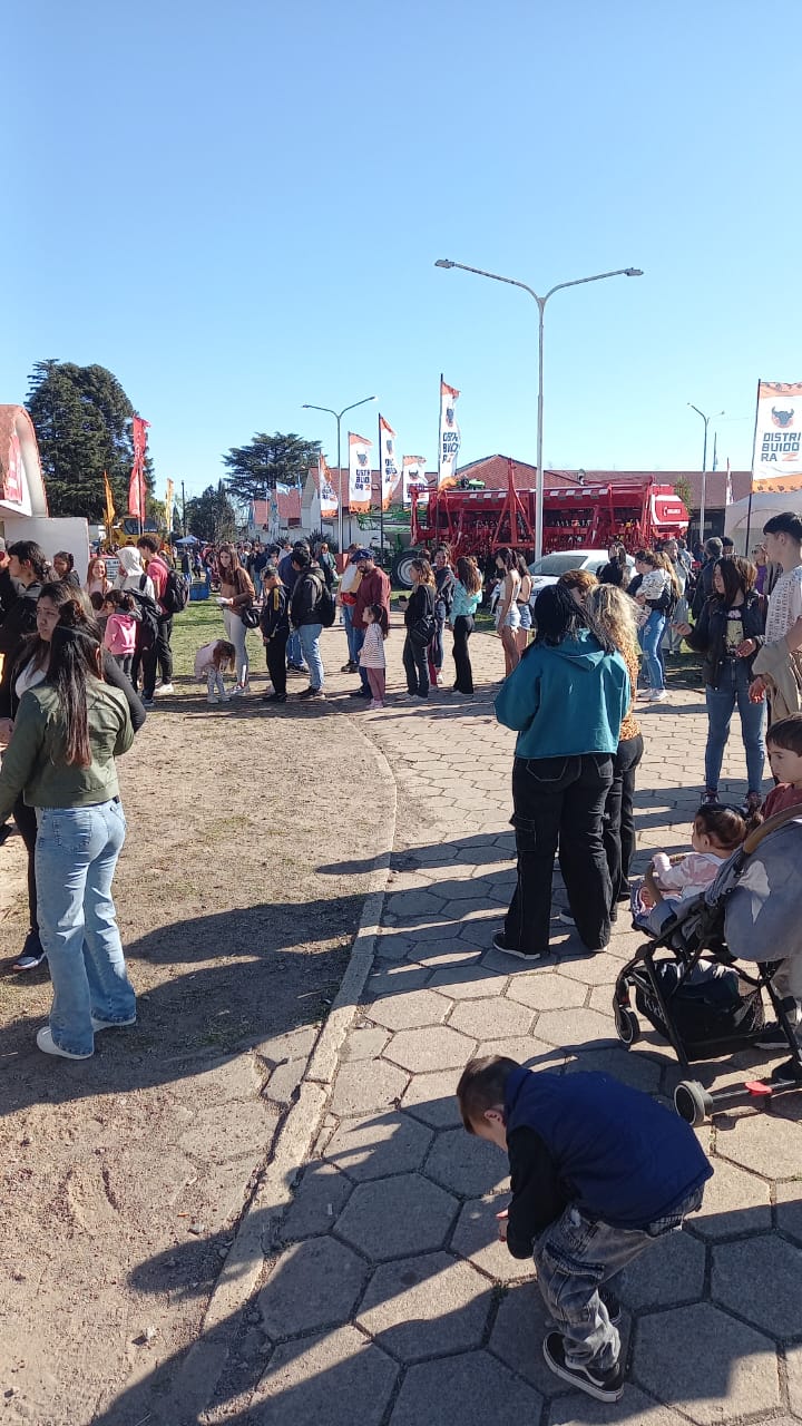 WhatsApp-Image-2024-09-11-at-16.06.30