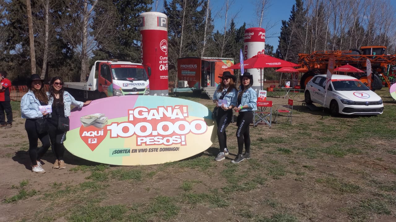 WhatsApp-Image-2024-10-08-at-3.33.07-PM